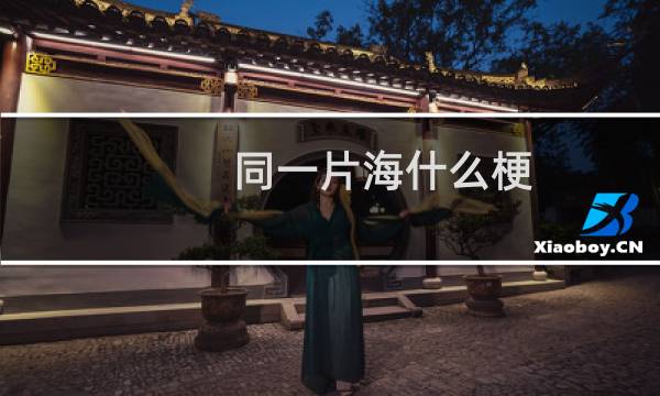 同一片海什么梗