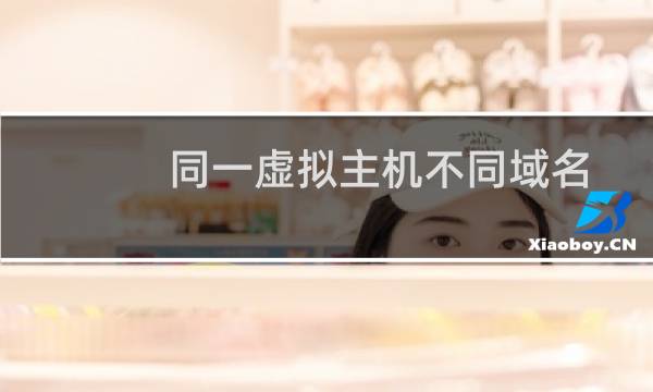 同一虚拟主机不同域名路由的问题