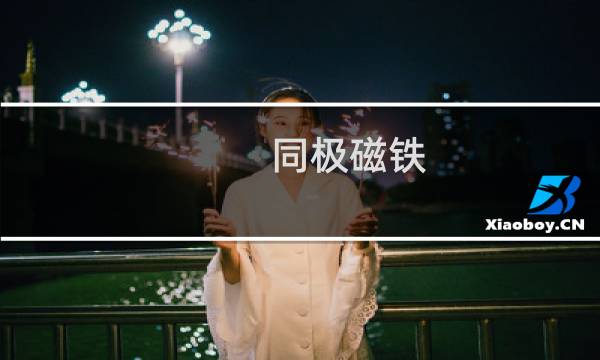 同极磁铁