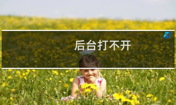 后台打不开 access的数据库