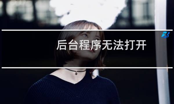 后台程序无法打开，文件都传好了的