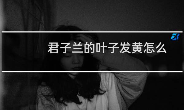 君子兰的叶子发黄怎么办(君子兰的叶子发黄的诱因及其解决办法)