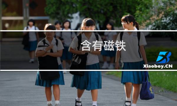 含有磁铁