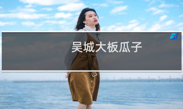 吴城大板瓜子（柴桑区特产）图片
