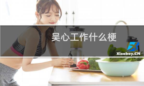 吴心工作什么梗