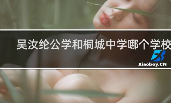 吴汝纶公学和桐城中学哪个学校好