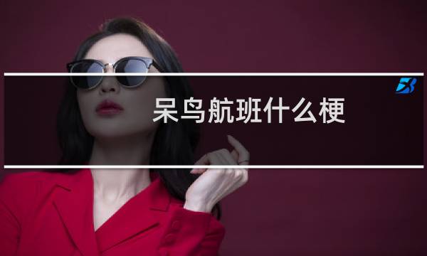 呆鸟航班什么梗