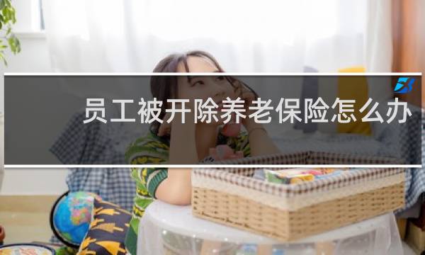 员工被开除养老保险怎么办