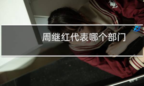 周继红代表哪个部门