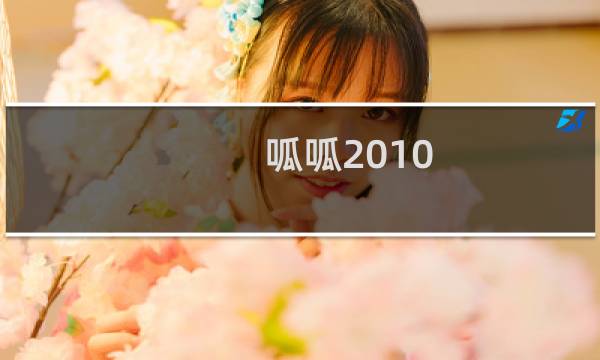 呱呱2010