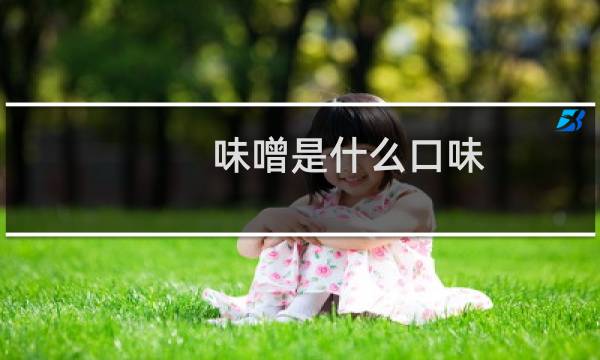 味噌是什么口味（味噌是什么调料）图片