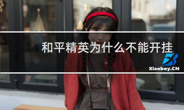 和平精英为什么不能开挂?(下载了和平精英为什么打不开)图片