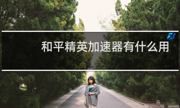 和平精英加速器有什么用图片