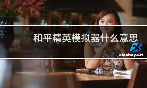 和平精英模拟器什么意思(和平精英里面模拟器什么意思)图片