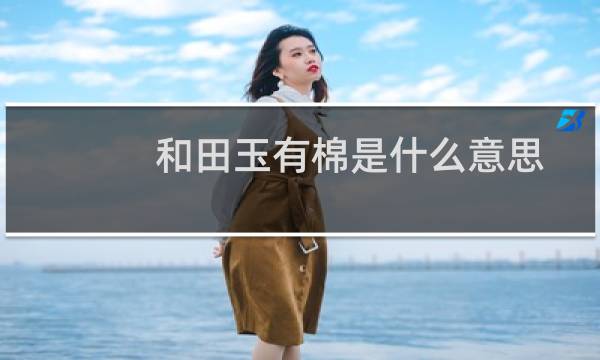 和田玉有棉是什么意思