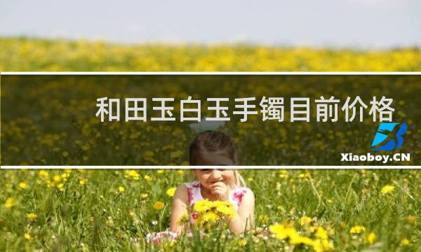 和田玉白玉手镯目前价格是多少