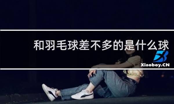 和羽毛球差不多的是什么球