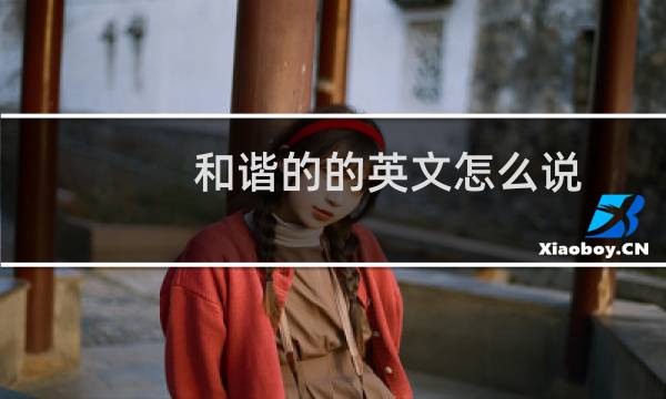 和谐的的英文怎么说（和谐的英文）