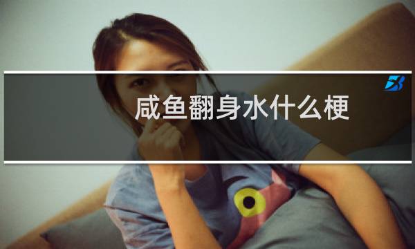 咸鱼翻身水什么梗