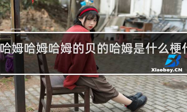 哈姆哈姆哈姆的贝的哈姆是什么梗什么梗
