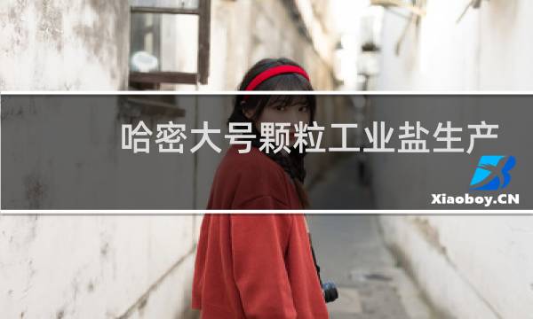 哈密大号颗粒工业盐生产厂家图片