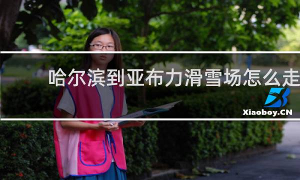 哈尔滨到亚布力滑雪场怎么走