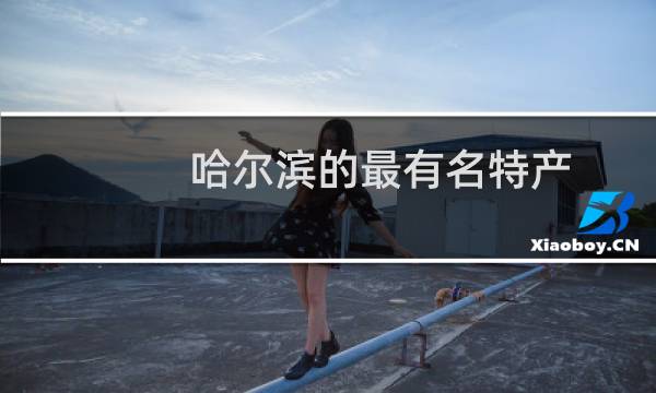 哈尔滨的最有名特产图片