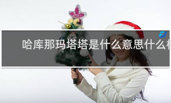 哈库那玛塔塔是什么意思什么梗
