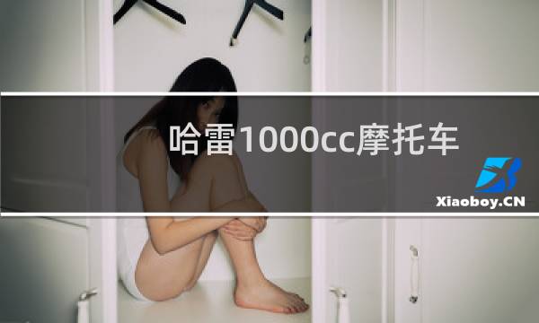 哈雷1000cc摩托车图片