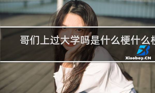 哥们上过大学吗是什么梗什么梗