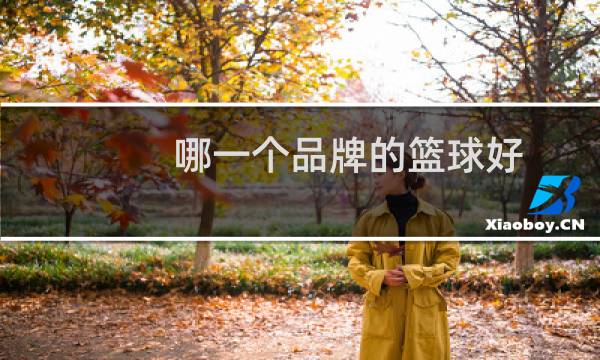 哪一个品牌的篮球好