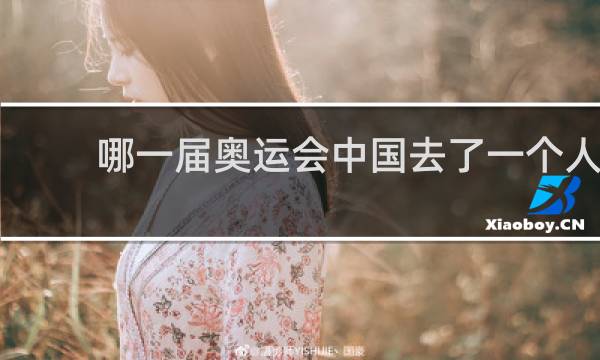哪一届奥运会中国去了一个人