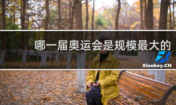 哪一届奥运会是规模最大的