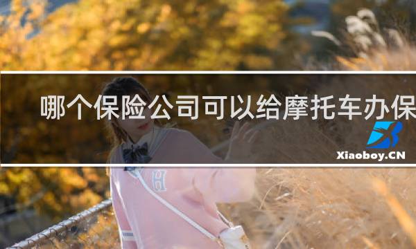 哪个保险公司可以给摩托车办保险