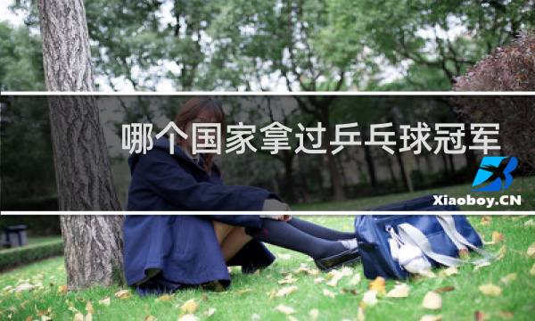 哪个国家拿过乒乓球冠军