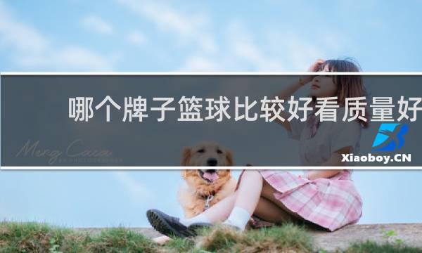 哪个牌子篮球比较好看质量好