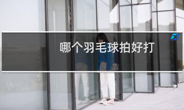 哪个羽毛球拍好打