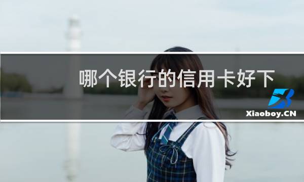 哪个银行的信用卡好下（哪个银行的信用卡最好）