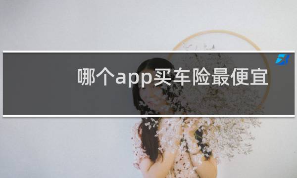 哪个app买车险最便宜图片