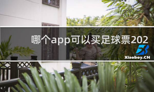 哪个app可以买足球票2021