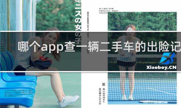 哪个app查一辆二手车的出险记录图片