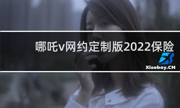 哪吒v网约定制版2022保险图片