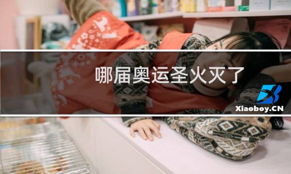 哪届奥运圣火灭了