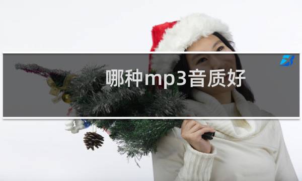 哪种mp3音质好(哪种mp4好)