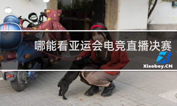 哪能看亚运会电竞直播决赛