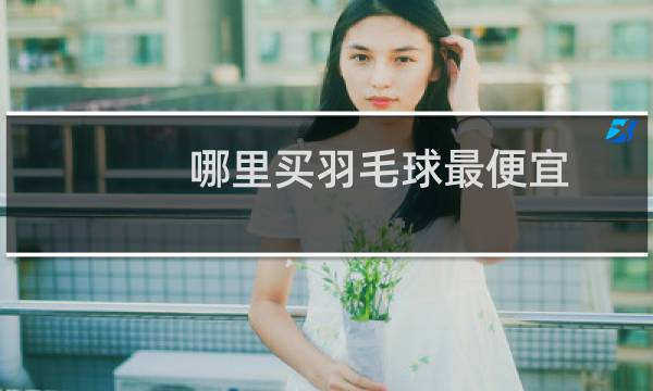 哪里买羽毛球最便宜