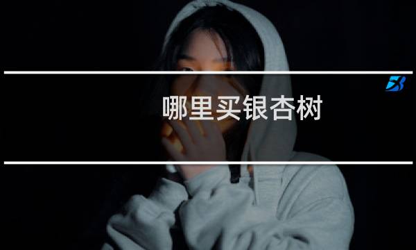 哪里买银杏树
