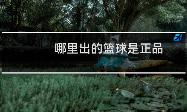 哪里出的篮球是正品