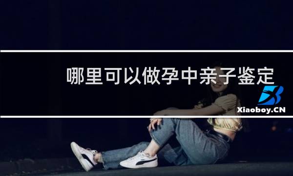 哪里可以做孕中亲子鉴定