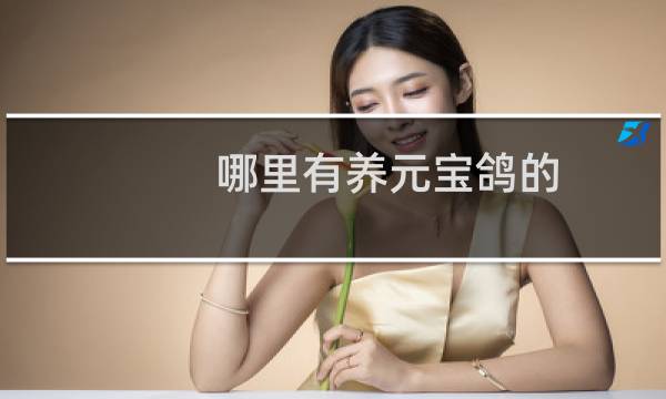 哪里有养元宝鸽的
